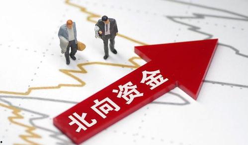 资金最新爆料消息,揭秘市场动向与投资新机遇