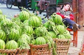 莱州吃瓜事件最新爆料,最新爆料揭秘惊人内幕 第3张 莱州吃瓜事件最新爆料,最新爆料揭秘惊人内幕 第3张